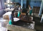 Handmade Paper Industry at Gopalthan, Nalbari